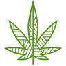 Alter Native logo