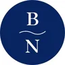 Blue Nile logo