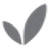Boody logo