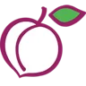 iPlum logo