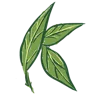 Kats Botanicals logo