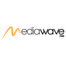 MWS Spain logo