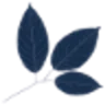 Phyto logo
