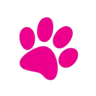 Sape HR logo