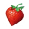 StrawberryNet logo